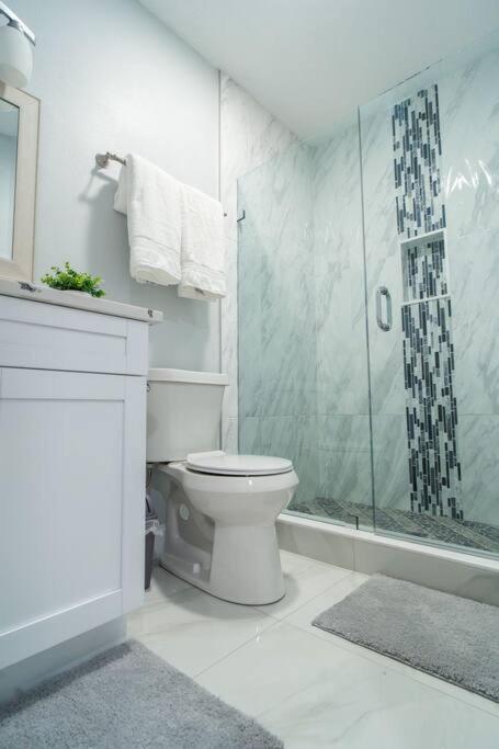 Grey Novo Studio + Free-Parking&Wifi Tampa Esterno foto