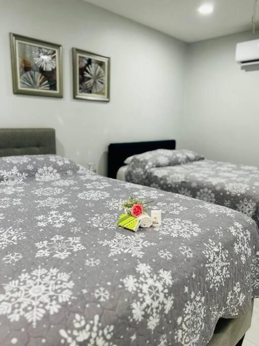 Grey Novo Studio + Free-Parking&Wifi Tampa Esterno foto
