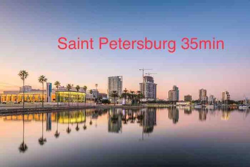 Grey Novo Studio + Free-Parking&Wifi Tampa Esterno foto