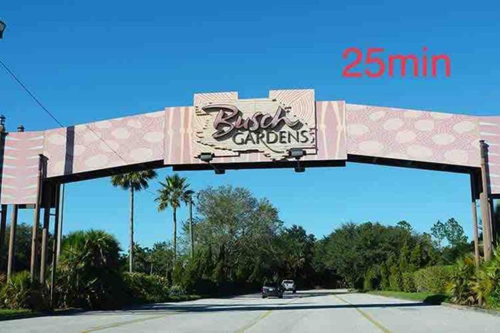 Grey Novo Studio + Free-Parking&Wifi Tampa Esterno foto