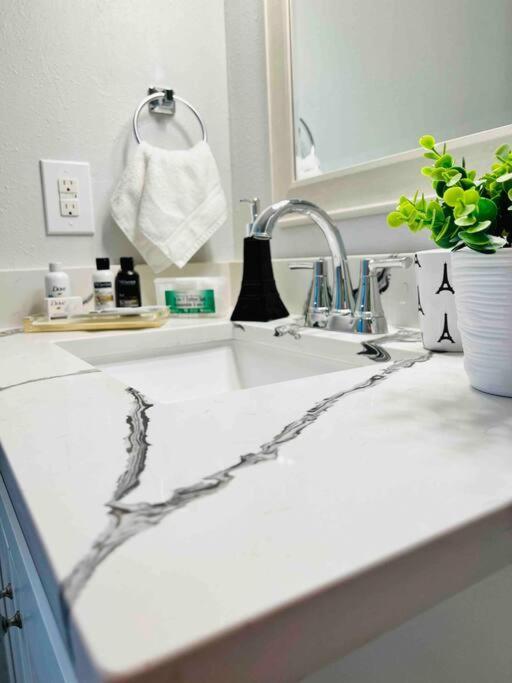 Grey Novo Studio + Free-Parking&Wifi Tampa Esterno foto