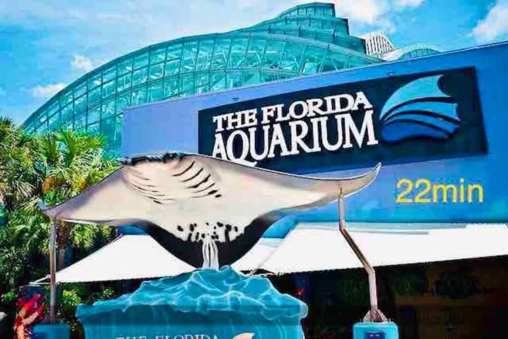 Grey Novo Studio + Free-Parking&Wifi Tampa Esterno foto