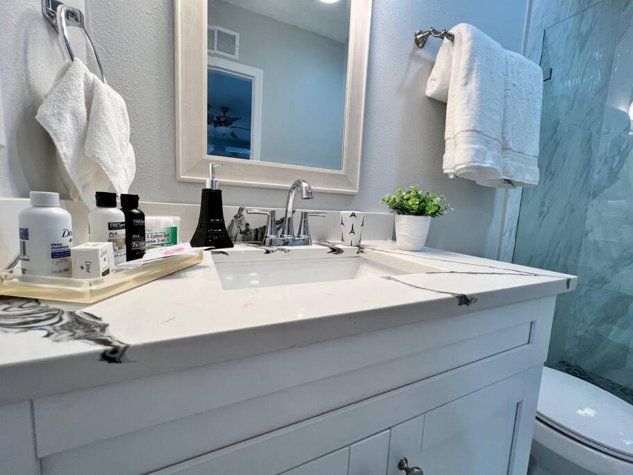 Grey Novo Studio + Free-Parking&Wifi Tampa Esterno foto